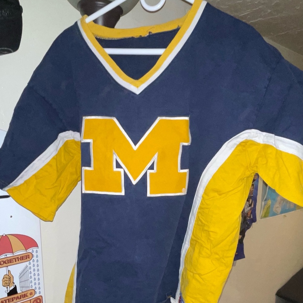 Vintage Michigan Hockey